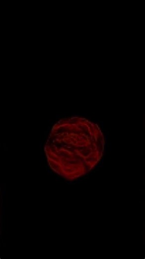Amalthea, Jupiter's strange and very reddish moon.