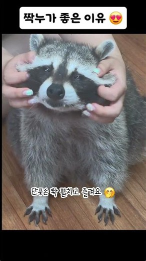 짝은누나가 좋은 이유 💕 이쁨 받는 순간을 즐겨요오오 🤭