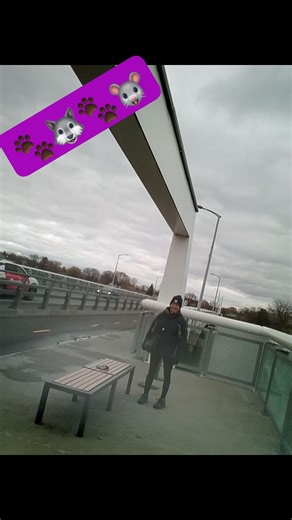 Cyon Book on Reels | Facebook