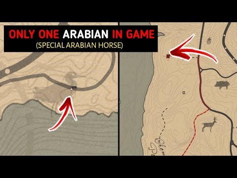 9 Rarest horses that you cannot buy or find in the wild - RDR2