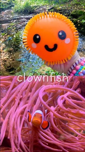 Kids Learn | Sea Animal Names at the Stream: Octopus Whale Blob Fish Great White Shark Clownfish