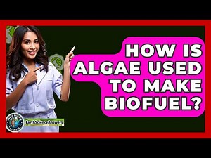 How Is Algae Used To Make Biofuel? - Earth Science Answers