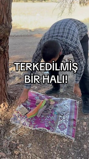 Bir halıyı ve ağaca bağlanmış ipleri söktük ve çöp kovamıza attık. Daha sonra su kıyılarında biriken çöpleri topladık.