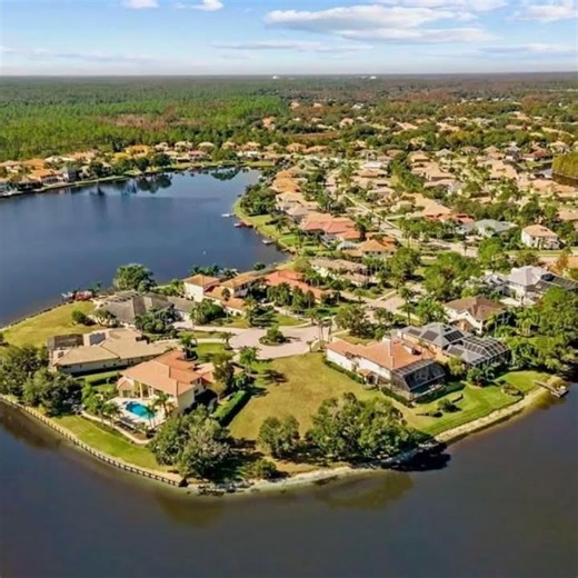 17903 Bimini Isle Court, Tampa, FL 33647