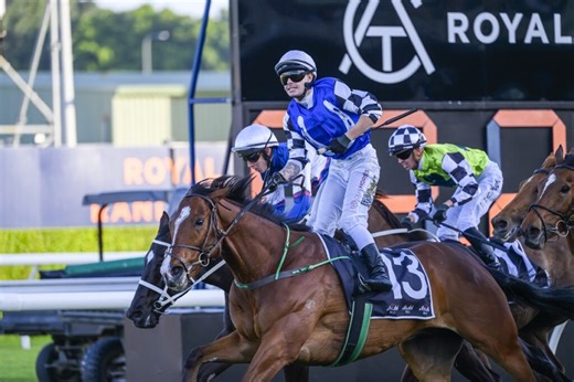 Royal Supremacy | Just Horse Racing