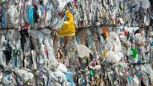 Canada's single-use plastic ban: Sales of bags, takeout containers, cutlery set to end