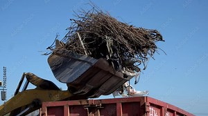 Industrial equipment for loading municipal solid waste into a container for processing and disposal