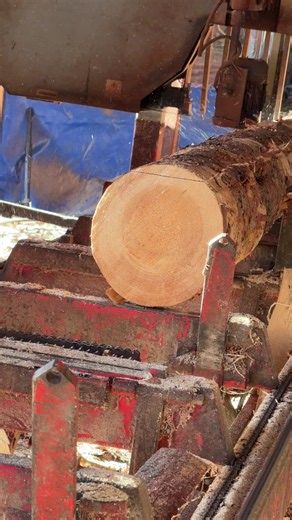 Wideband Bandsaw Tips for Sawmill Woodworking