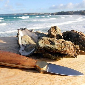 The Cornish Fishmonger Oyster Shucking Knife| The Cornish Fishmonger
