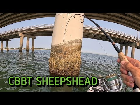 Kayak Fishing CBBT for MONSTER Sheepshead - Chesapeake Bay Bridge
