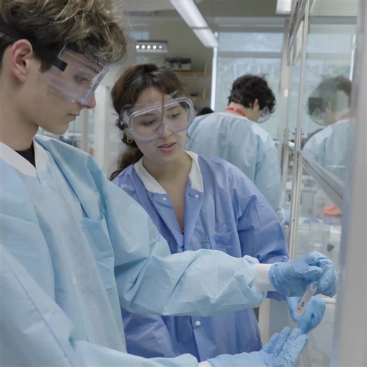 Less than ONE WEEK to go! Apply to Brown Pre-College Summer Programs on January 14! 🐻☀️ | Brown University Pre-College Programs