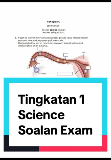 Contoh soalan Science Tingkatan 1. Latihan format exam, ikut silibus KPM dan skema jawapan. Nota Juga Dapat Bagi anak untuk Mereka Fokus pada topik yang lemah dengan Latihan berkali kali #exam #science #smk #viral #study