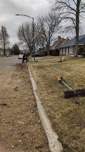 This power dethatcher or power rake is what these guys are using. Look at all that dead grass they are removing. Could have used that today for sure. Anyone ever use one of these, if so, how well do they work? Anyone else have any of their own tips for dethatching? 🤔