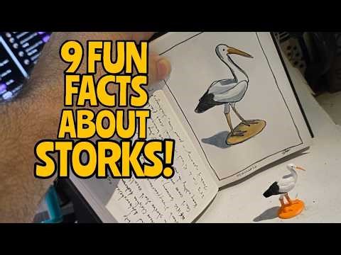 Why Storks Became the Baby Delivery Bird?