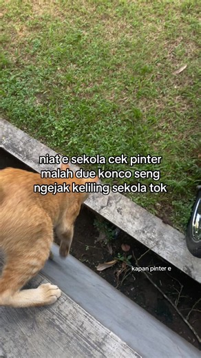 Niat Sekolah Biar Pintar Malah Diajak Keliling Sekolah