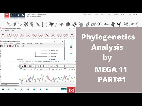 Phylogenetic Analysis by using MEGA 11 Part 1