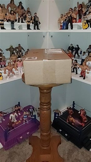 WWE mail delivery, Friday the 13th style! #subscribe #wwe #toys #retro #wwf #flash #funk #jobber