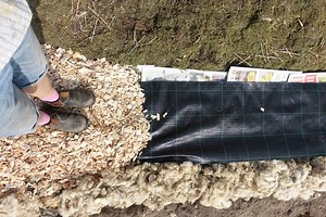 Garden DIY: Creating New Garden Paths