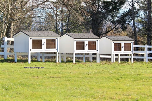 Quail Pen Cage Coop Plans - Etsy