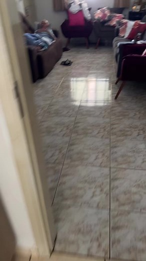 Electric Fly Swatter: Indoor Pest Control Tips