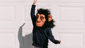 What are Therians? The viral phenomenon taking over Latin America