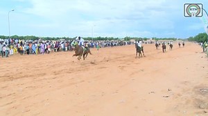 #Sport: Hier dimanche, la Fédération Nigérienne des Sports Equestres a clos toute une semaine d'activités à travers 4 courses organisées à l'hippodrome de Niamey. C'était le grand prix de la Loterie Nationale du Niger. Mise en ligne : Soumaila SEYNI Coordination : Ismaël DAOUDA | RTN