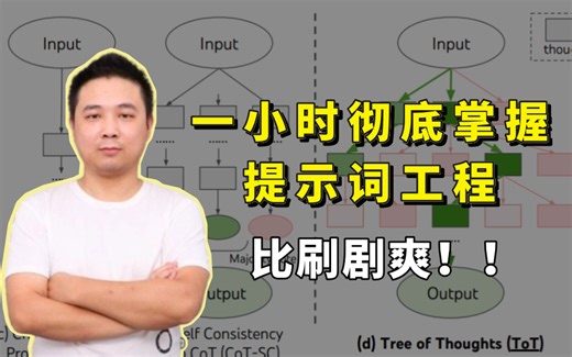 【2024最新】提示词工程教程（Prompt Engineering），全程干货无废话，零基础小白看这一篇就够了，收藏一下吧，很难找全的！！
