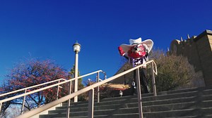 Headed to commencement this weekend? Raider Red has a few do's and don'ts for you to remember before you go. 🎓 https://www.depts.ttu.edu/provost/commencement/ | Texas Tech University