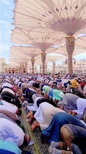 মদীনাটা যে দেখেছে জান্নাতের সাধ সে পেয়েছে