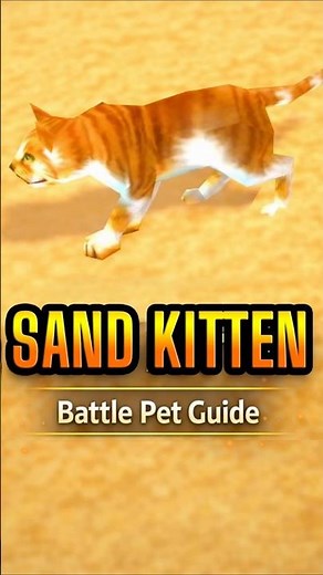 CATCH the Sand Kitten Battle PET — WoW Guide