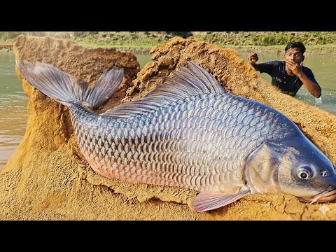 Monster Fishing: Catching Giant Fish Like a Pro”