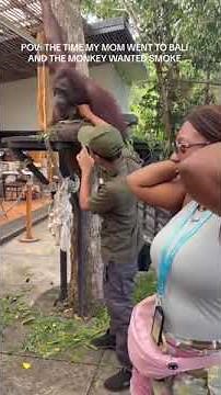 Monkey Pulls Woman's Ponytail While She Poses For Picture - 1520980