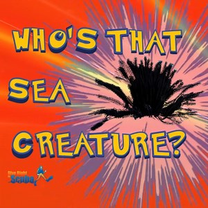 If you guessed Crinoid, you’re absolutely right!  Crinoids, often...