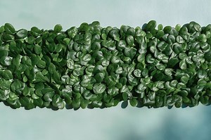 *répéter cette suite colorée deux fois* Envie d'un défi? Pourquoi pas un jus par jour pendant 14 jours? Chaque bouteille vous assure 2 à 3 portions de fruits/légumes. Adopter des habitudes plus saines, c'est plus facile qu'on pense 😉 À votre santé! | Dose Juice