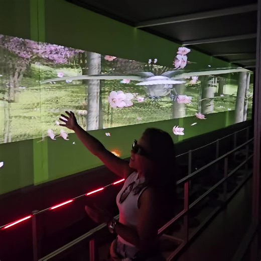 Exploring Holograms at the Zoo: A Unique Experience