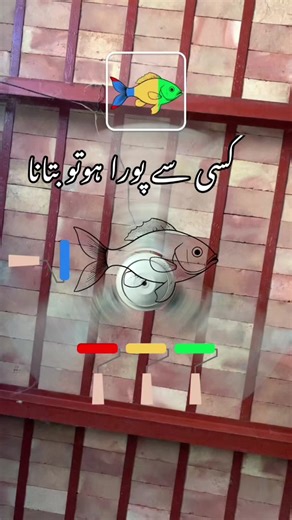 Digital Animation of Swimming Fish in Tank