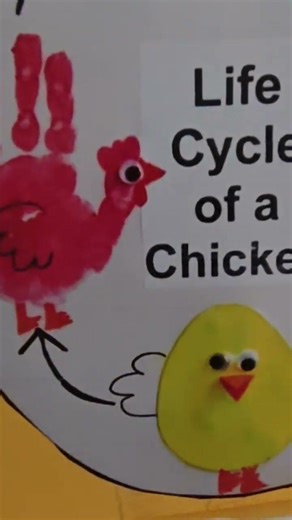 Science Project|| Std - 4th || Life Cycle of Hen #school #science #project #learning