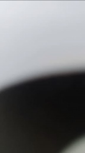 Good morning 🌞 | Digger Brings