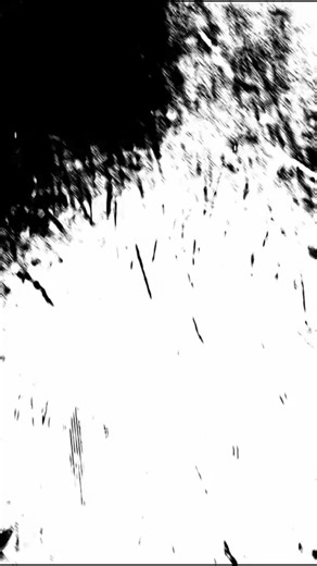 Alissa Zilinski- December Student of the Month. #tigerfriday | Mossa Dance Academy