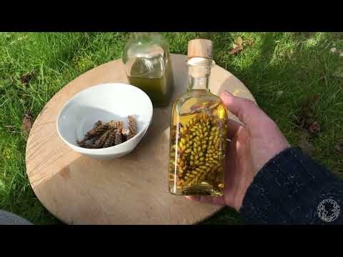 How to Make Pine Oil by Robin Harford
