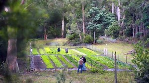 Small Scale, Big Results - Gardening Australia