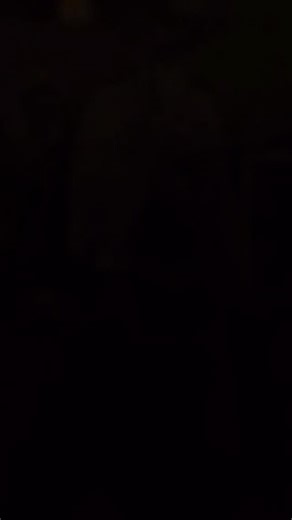 MODEL HUB VERSION 2 on Instagram: "FUR HOODIE SIZE M L XL XXL ♥️🤟🏼😎 DECEMBER SPECIAL ♥️😎 #modelhub #reels #rourkela #viralvideos #viral #instagramreels"