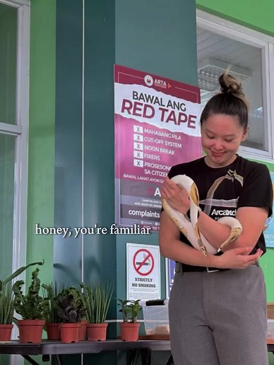 Happy World Wildlife Day, everyone! 🐍🐢🦎🐊 Grateful for the opportunity given by DENR Lipa to share about wildlife conservation. Today, I had the chance to not only share my passion but also advocate for responsible and legal exotic pet keeping—because understanding and proper care are key to protecting these incredible animals. My love for animals began in childhood, sparking a passion that has only grown stronger over the years. Never in my wildest dreams did I imagine that this passion woul