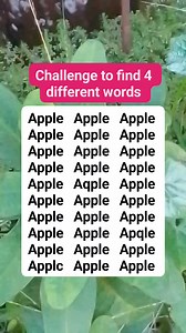 Challenge to find 4 different words #brainteaser #search #find #puzzle | Easy Puzzle