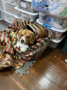 A Quilt Finish: Bitcoin