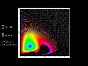 Exploring a Predator-Prey Model | Visualization of the Lotka-Volterra Equations.