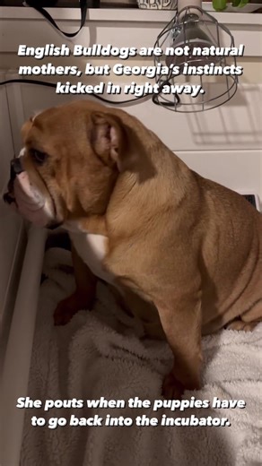 House of Payne on TikTok