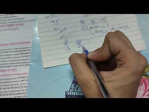 Chapter 34 #part1 #cdpseries #htetexam