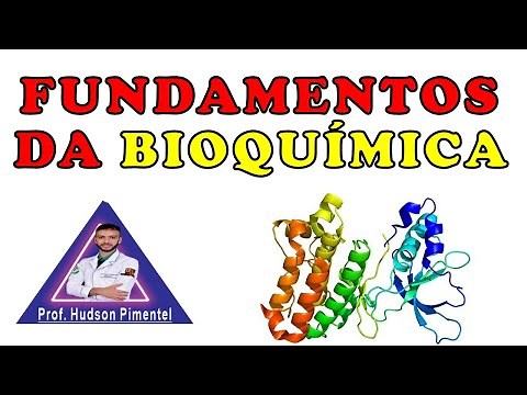 CLASS 02 - BIOCHEMISTRY FUNDAMENTALS | BASIC BIOCHEMISTRY