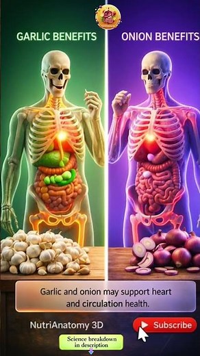 Garlic vs Onion | See What Happens Inside Your Body